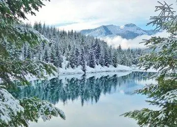 Сезонное SEO и вечнозеленые URL-адреса: как привлечь сезонный трафик круглый год