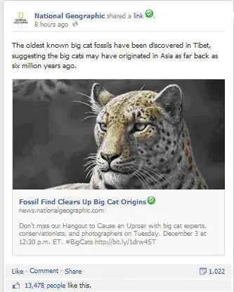 Происхождение больших кошек National Geographic