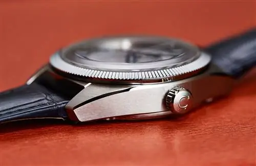 омега-globemaster-ежегодный календарь-младший-6