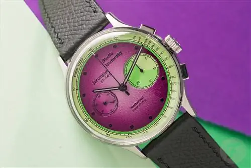 коллаборация Invicta x Спанч Боб