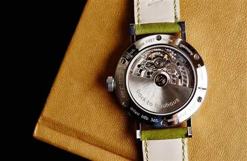 Стова-Антеа-Назад-в-Баухаус-2