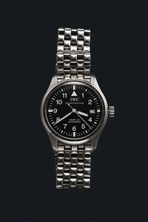 ИНСАЙТ: Фрэнк Кастроново и его IWC Mark XV