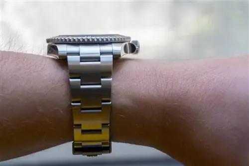 Почему я променял Patek и Omega Speedmaster на Rolex Submariner