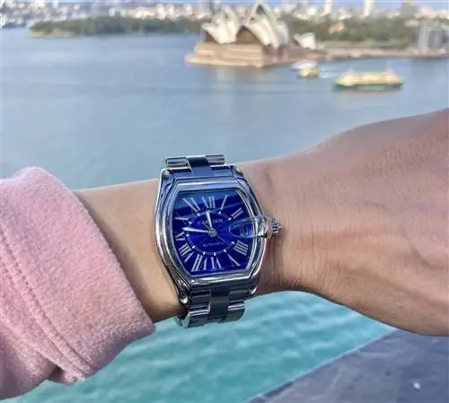 Каждые часы рассказывают историю: Cartier Roadster Nelli’