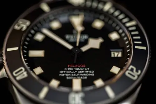 КАЖДЫЕ ЧАСЫ РАССКАЗЫВАЮТ ИСТОРИЮ: 6 шагов, которые привели Vinnie’s к Tudor Pelagos LHD, и подробности, которые ему нравятся