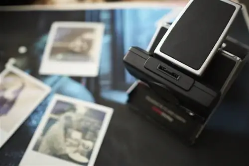 Обзор винтажной камеры: Polaroid SX70