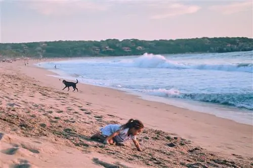 Как фотография может развиваться новыми мощными и терапевтическими способами