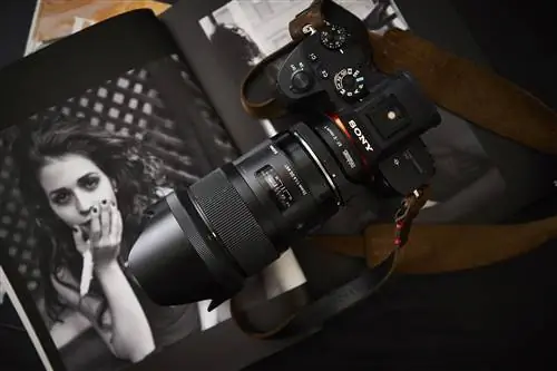 Как Canon и Nikon могут догнать Sony и вернуть себе больше профессионалов