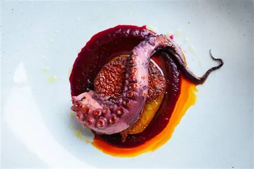 Каждый должен иметь возможность делать отличные фотографии еды