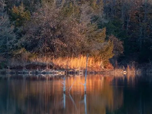 Новый объектив? Любовь к себе для фотографов