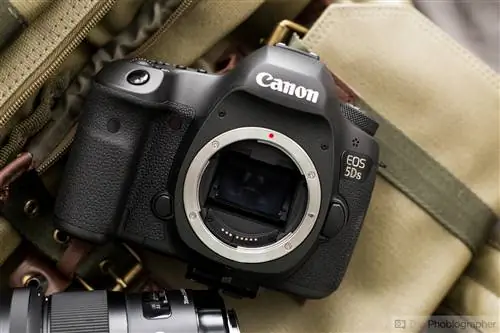 Четыре наших любимых камеры Canon для новичков и профессионалов, которые думают о переходе на Canon