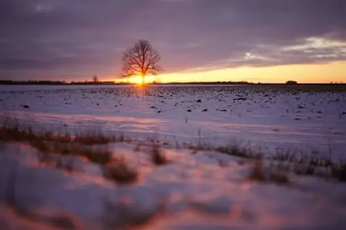 35 мм простые числа