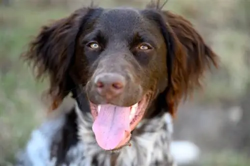 Дорогой новый фотограф, вот как ты находишь свой фотографический стиль
