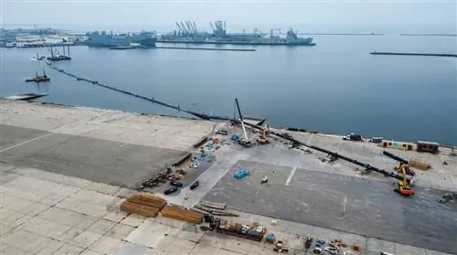 Открытие древнейшей известной жемчужины на острове в Персидском заливе