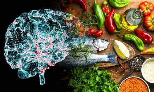 Средиземноморская диета защитит от слабоумия