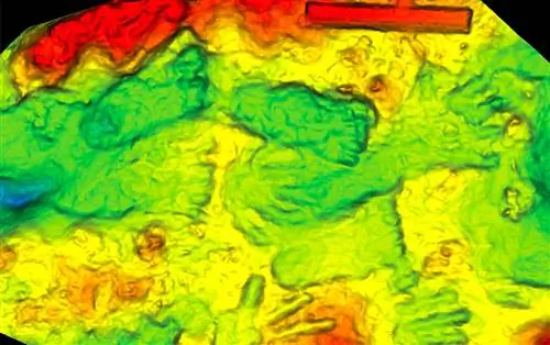Древние следы, оставленные детьми, считаются старейшим примером наскального искусства, известным на сегодняшний день