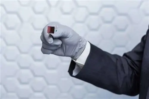 Исследователи создали наночип для перепрограммирования биологических тканей