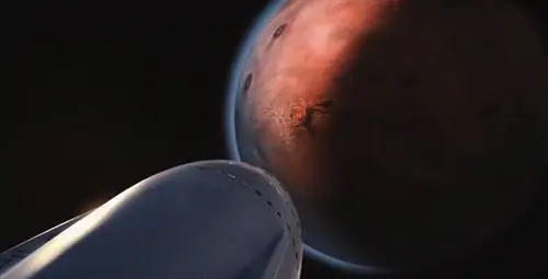 Огромная морская волна тепла угрожает экосистемам Новой Зеландии