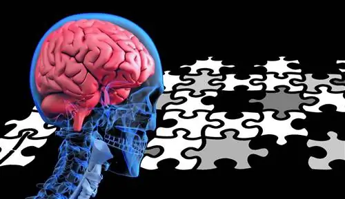 Квантовая запутанность: это подтверждается в макроскопическом масштабе