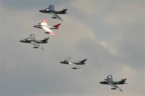 Группа охотников. (flickr/Алан Уилсон)