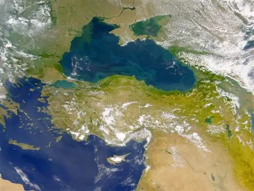 Этот вид SeaWiFS показывает красочную игру течений на поверхности моря.