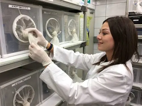 Не бойтесь дронов, сбрасывающих с воздуха 50 000 комаров