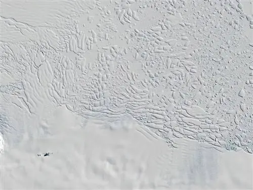 Ледник Туэйтса