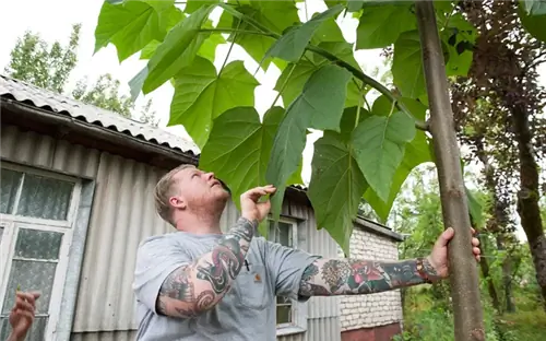 Забудьте о багетах - почему знающим хлеборобам лучше ехать на Кавказ (рецепт)