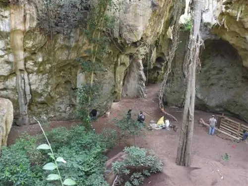 Панга я Саиди