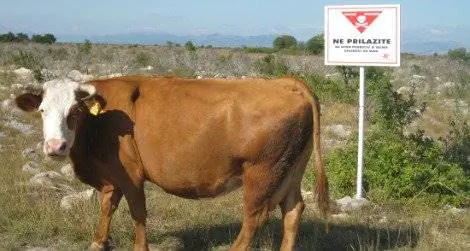 Дикие туристы должны остерегаться наземных мин на Балканах, хотя местные жители могут только предупреждать о медведях.