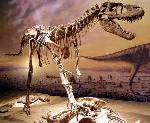 20110520083312albertosaurus-drumheller-300x246-j.webp 20110520083312albertosaurus-drumheller-300x246-j.webp