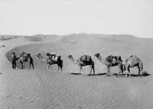 20110520102441B9113_22_simpson_desert-300x214-j.webp 20110520102441B9113_22_simpson_desert-300x214-j.webp