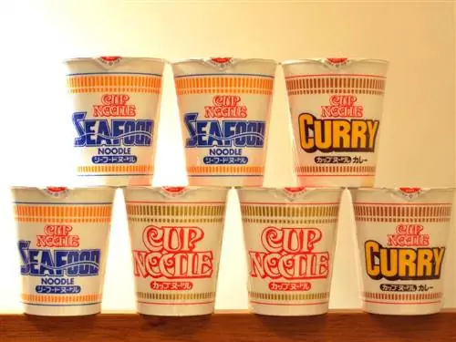 Чашка лапши-jg.webp