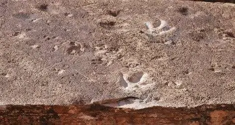 Динозавр теропод