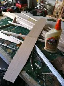 Ян прямое крыло