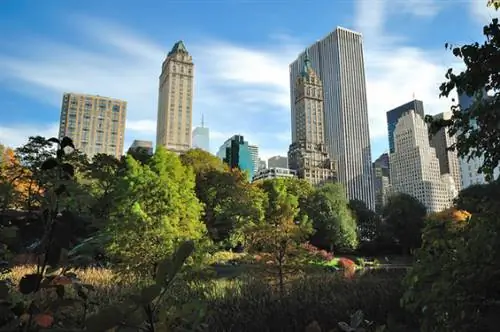 Центральный парк, Нью-Йорк