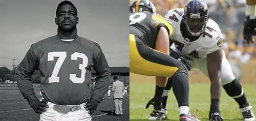 коричневый и другой-j.webp