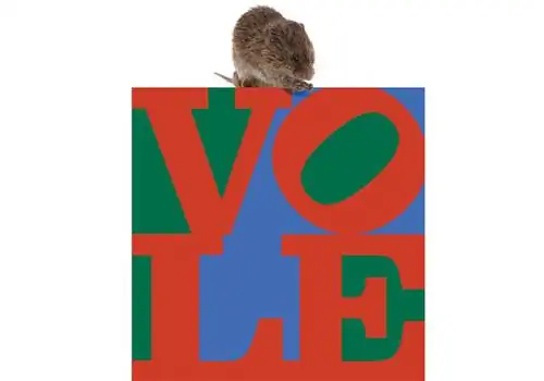 01-Voles-praire-j.webp 01-Voles-praire-j.webp
