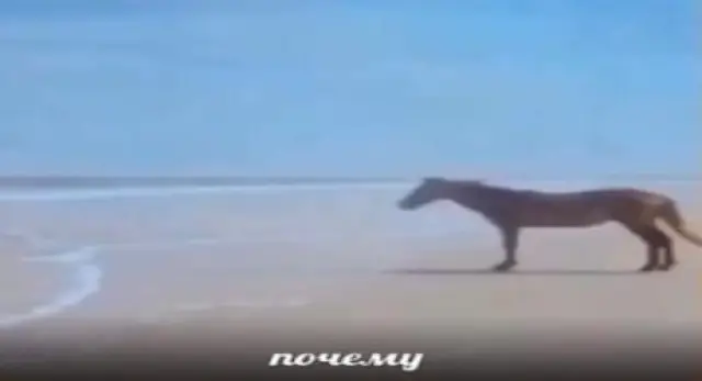 Почему инопланетяне молчат. Шокирующая гипотеза Стивена Хокинга.