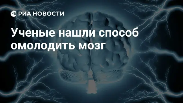 Ученые нашли способ «омолодить» клетки мозга.