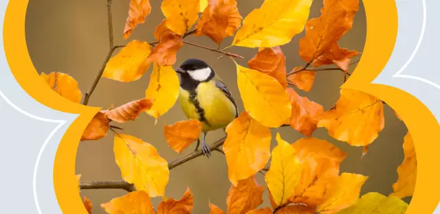 Замечания по применению