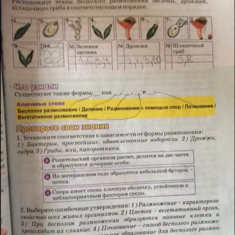 Проверьте эти датчики, разработанные для того, чтобы сделать медицина умнее - новости