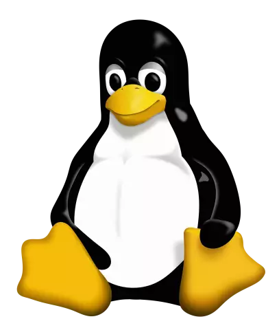 Создание новых контроллеров linux для носимых устройств