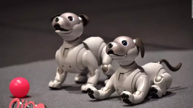 Paro и aibo роботы предлагают человеко-цифровое общение - новости