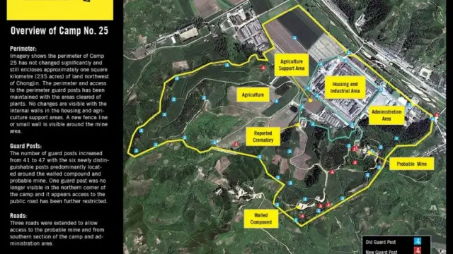 МС подтверждает существование Zune