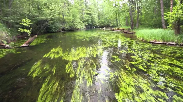 В движении: Великая скала / Ателье Петр Кис
