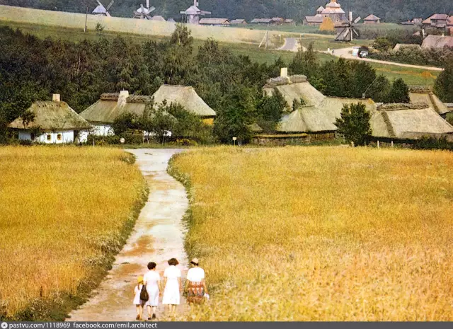 Опыт архитектуры Тайлера