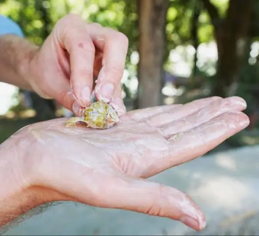 99% экспертов по соцсетям - клоуны - Гэри Вайнерчук