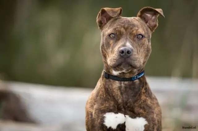 Зарабатывайте на подкастинге