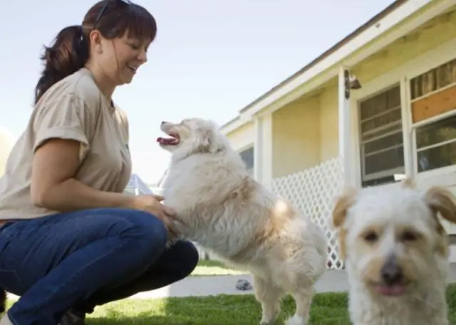 Ответьте на эти вопросы перед запуском маркетинговой кампании